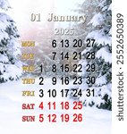 calendar for January 2025 with photo of winter forest. calendar for winter month with photo of spruces in snow. Monthly planner. January calendar for 2025. Daily organizer. Monday start