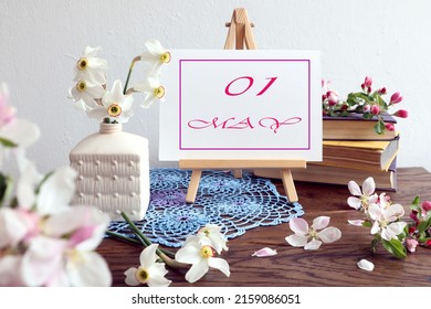 Calendar for May 1 : an easel with an inscription - the name of the month of May in English, the numbers 01, a bouquet of daffodils in a white vase, apple branches on a blue napkin, a stack of books