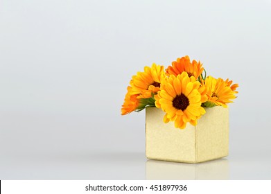 Get Well Flowers Hd Stock Images Shutterstock