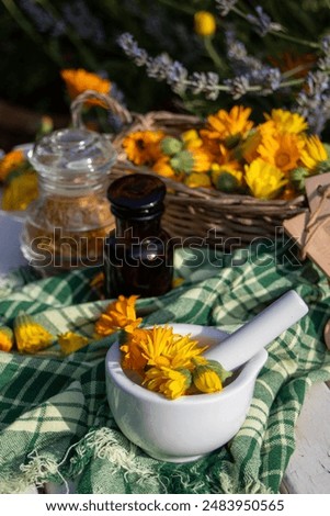 Similar – Image, Stock Photo marigold, medicinal herb with flower