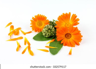 Calendula, Marigold Seeds On White Background