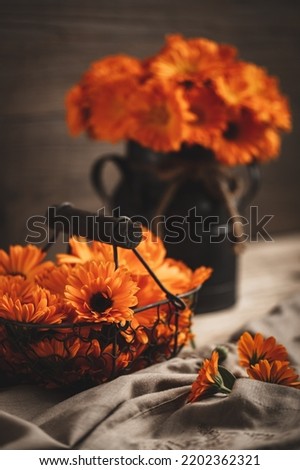 Calendula in a metal vintage basket and wase