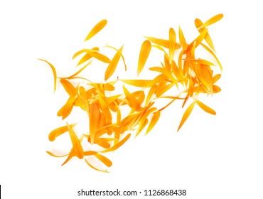 Calendula petals on a white background, top view.