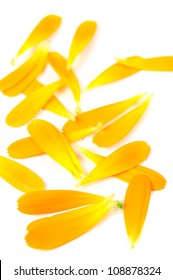 Calendula (Pot Marigold) Flower Petals On White Background