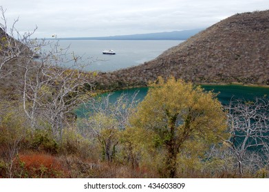 Caleta Tagus, Or Tagus Cove On Isabela Island, Galapagos