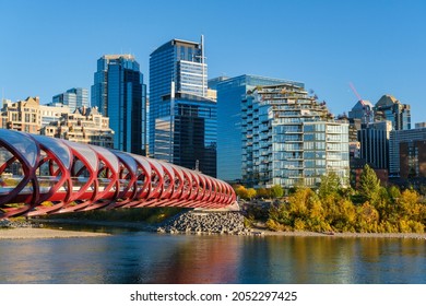 Calgary, Alberta, Canada - 27 September 2021:  Peace Bridge and Calgary skyline in the Autumn season