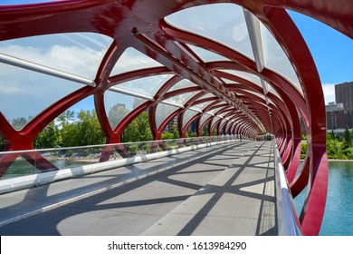 Calgary, Canada – July 1 2016 : The red steel structure of the Peace Bridge in Calgary contrasts against the blue sky and river with vibrant green pine trees at its edge on a clear, sunny day.