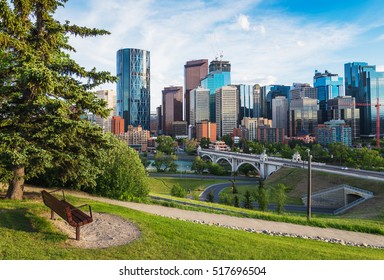 Calgary City Skyline And Park Bench In Alberta, Canada