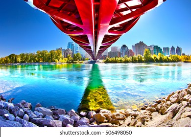 Calgary Peace Bridge In Autumn