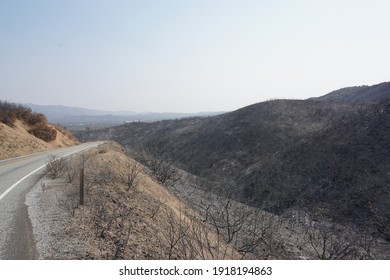 California 2020 Wildfire Season Desolation