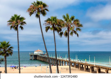 California Beach. Palm Trees On Manhattan Beach In Los Angeles, California.