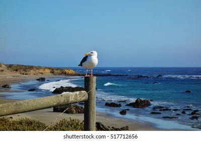 The California Central Coast Along The Pacific Coast Highway (Route 1) Near San Luis Obispo