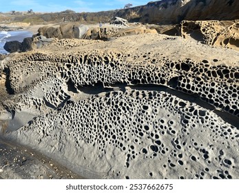 california coast coastal beach rocky holes trypophobia geological formations weathering - Powered by Shutterstock