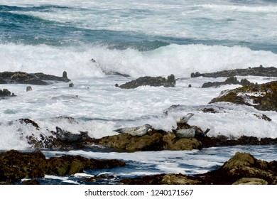 California Coast Fort Bragg CA 2