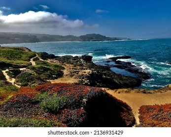 California Coast Landscape With Ocean And Vegetation 