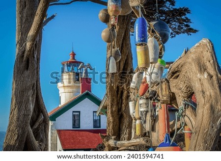 California Coast Lighthouse island Sea
