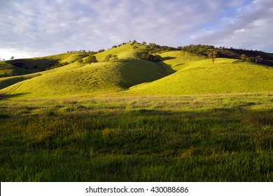 California, Concord, Landscape