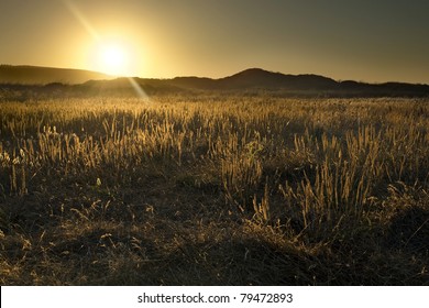 California Desert Sunrise