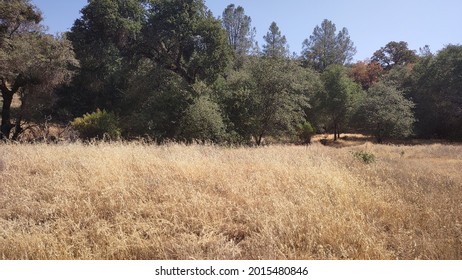 California Gold Country Sierra Nevada Foothills Nevada County