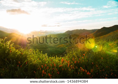 California Hills Background Colors Lake Elsinore Hills Green, Colorful, and Full of Life