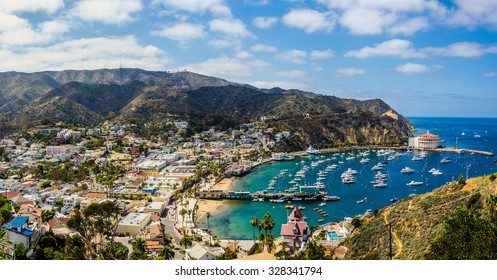 California island paradise. An ideal day captured on the Southern California island getaway - Catalina. 