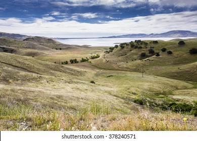 California Landscape With Grassland
