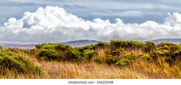 California Landscape Of Grassy Rolling Hills With Dramatic Clouds. Location: Point Reyes National Seashore Countryside North Of San Francisco.