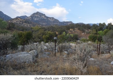 California Mountains Background, View Of Natural Landscape, USA National Parks Wildlife