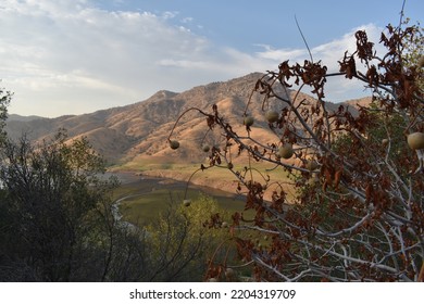 California Mountains Background, View Of Natural Landscape, US National Parks Wildlife