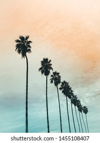 California Orange And Blue Sunset With Palm Trees