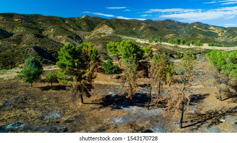 
California Pacific Forest Aerials- Angeles National Forest Recent Wildfire
