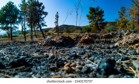 
California Pacific Forest Aerials- Angeles National Forest Recent Wildfire
