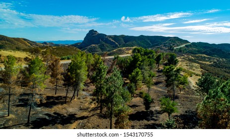 
California Pacific Forest Aerials- Angeles National Forest Recent Wildfire
