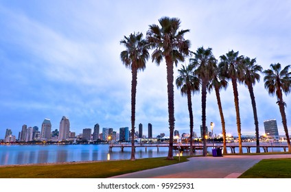 California Palm Trees and City of San Diego, California USA