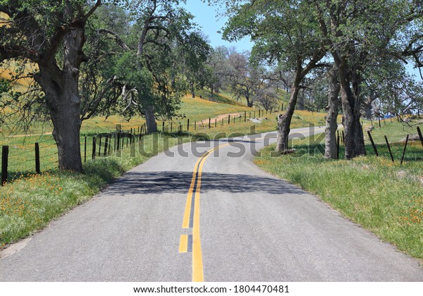 California rural road in countryside landscape of\
Tulare County.