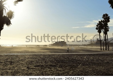 California Santa Monica beach palms sun coast