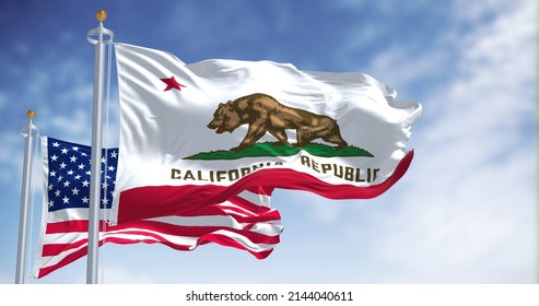 The California state flag flying along with the national flag of the United States of America. In the background there is a clear sky. The flag depicts a walking bear and a five-pointed red star - Shutterstock ID 2144040611