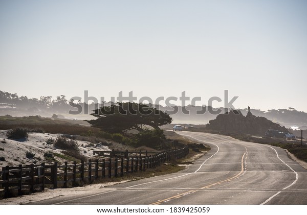 CALIFORNIA / USA - DECEMBER 20 2017: Scene near\
Fan Shell beach on the 17 mile\
drive.