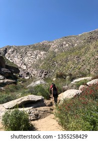 CALIFORNIA, USA - MARCH 24, 2019: People Hike In Tahquitz Canyon, Located In Southern California In The Coachella Valley Near Palm Springs, California. It Is A Bright Sunny Day With Clear Blue Sky.