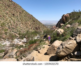 CALIFORNIA, USA - MARCH 24, 2019: People Hike In Tahquitz Canyon, Located In Southern California In The Coachella Valley Near Palm Springs, California. It Is A Bright Sunny Day With Clear Blue Sky.