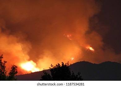 California Wild Fire