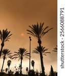 California wild fire orange sky