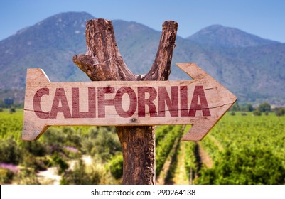 California Wooden Sign With Winery Background