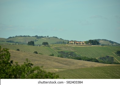 California's Central Coast Wine Country