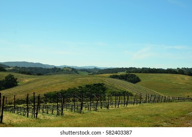 California's Central Coast Wine Country