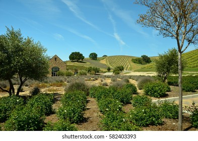 California's Central Coast Wine Country