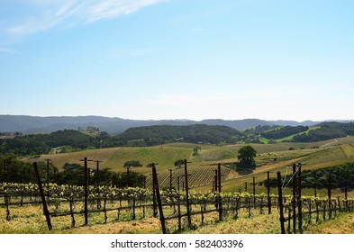 California's Central Coast Wine Country