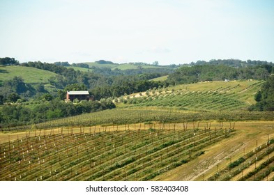 California's Central Coast Wine Country