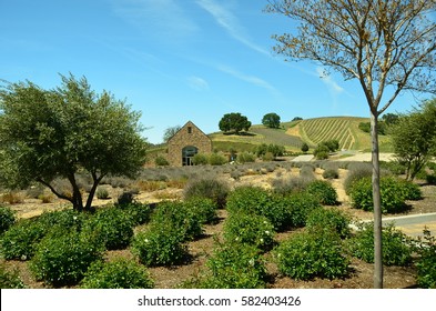 California's Central Coast Wine Country