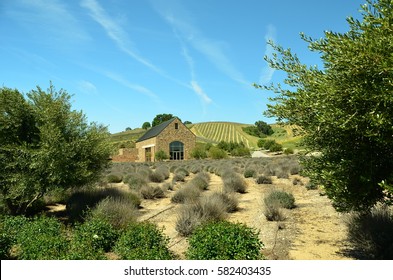 California's Central Coast Wine Country